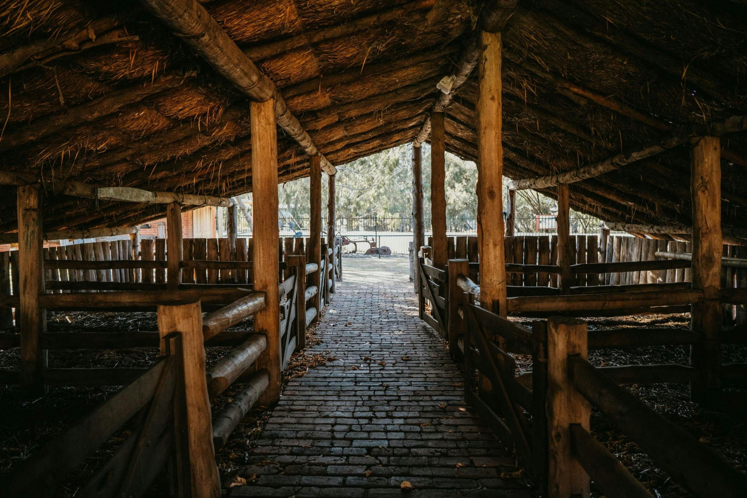 Warriston Ram Shed Peppin Heritage Centre