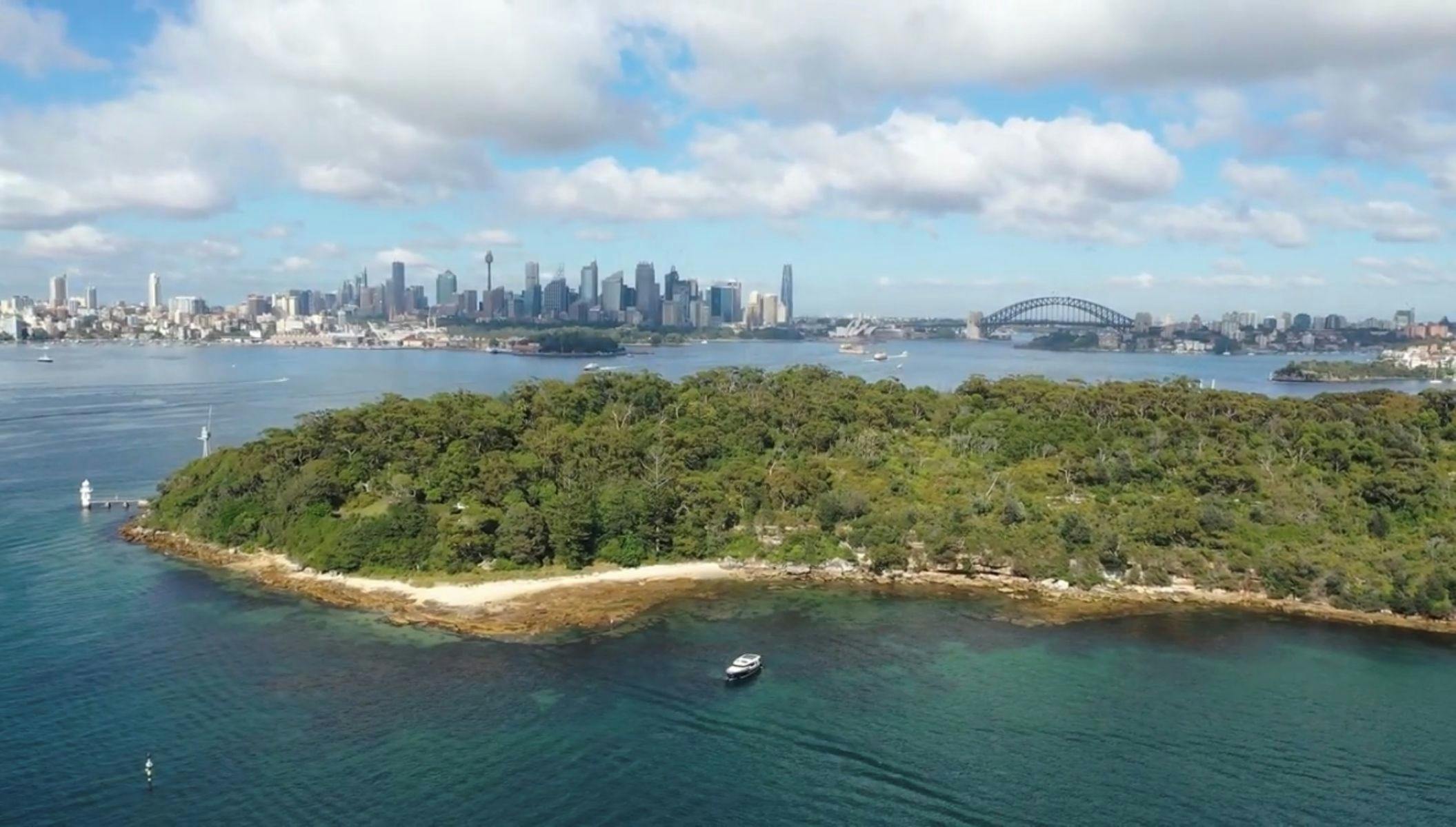 EV Arcadia anchored near Shark Island with Sydney CBD and Harbour Bridge aerial view