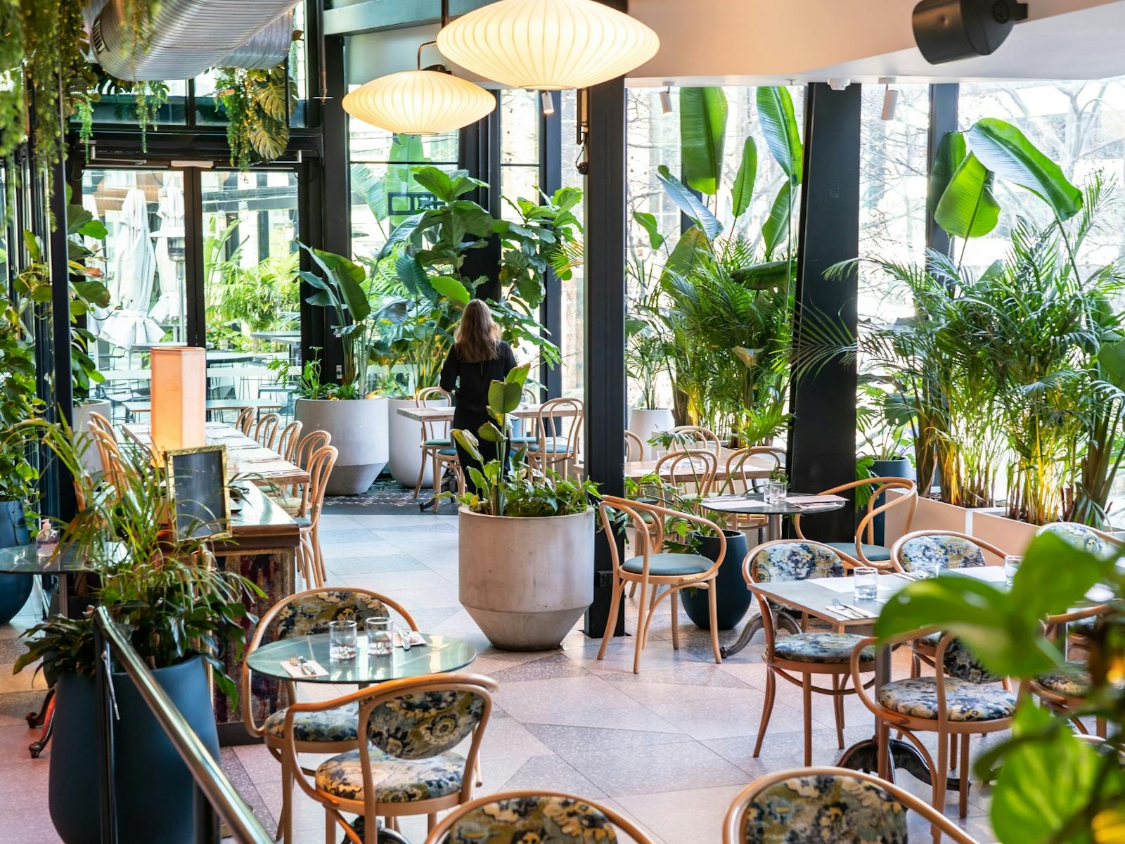 The dining room at Green Moustache in North Sydney