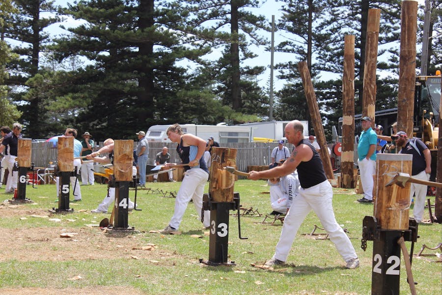 Woodchopping