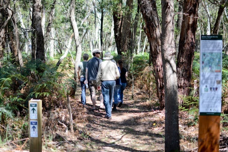 Honan Native Forest and Mint Trail