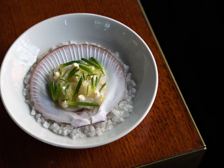 Scallop, meyer lemon, melon