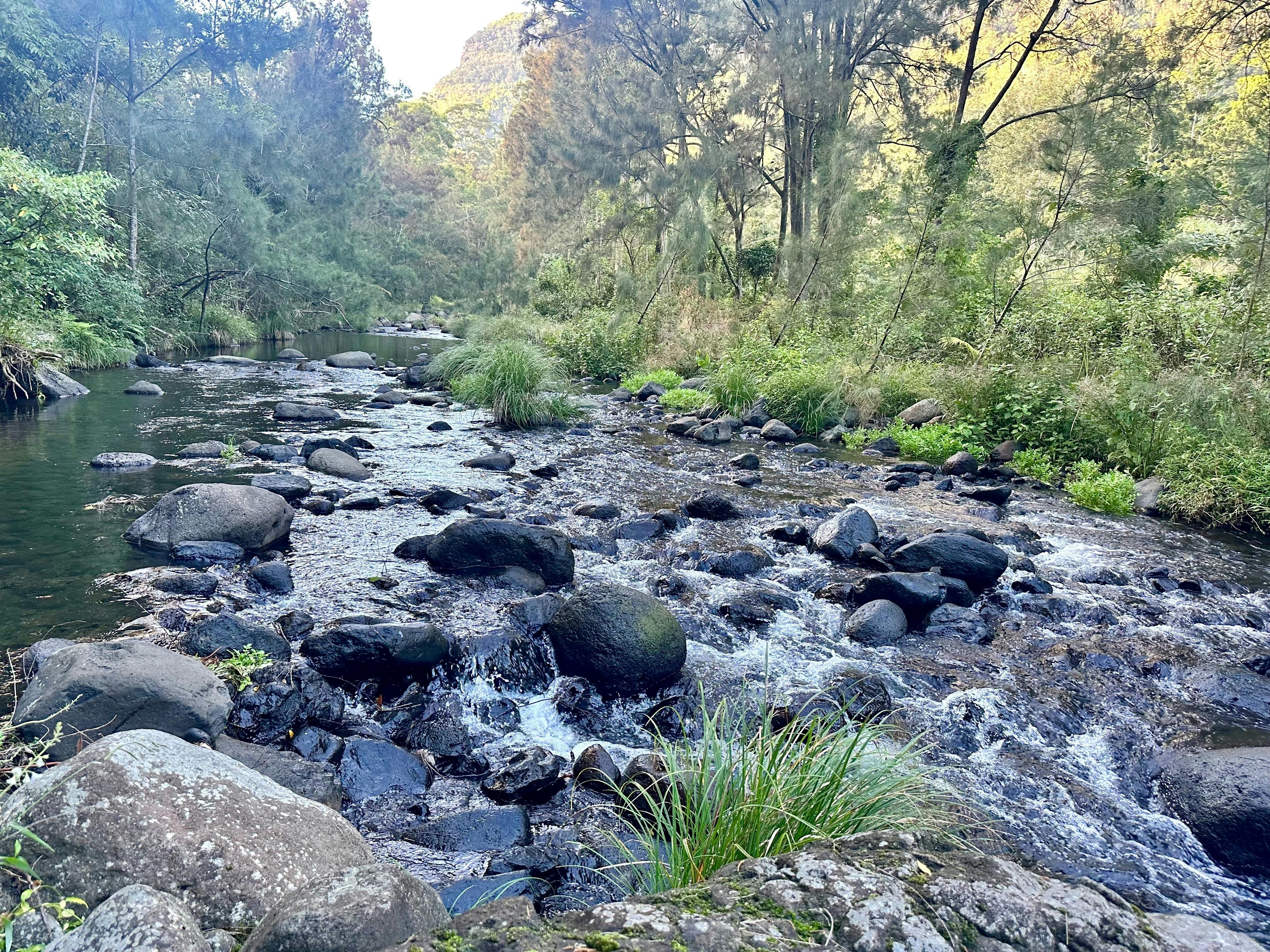 Christmas Creek is a permanently flowing creek