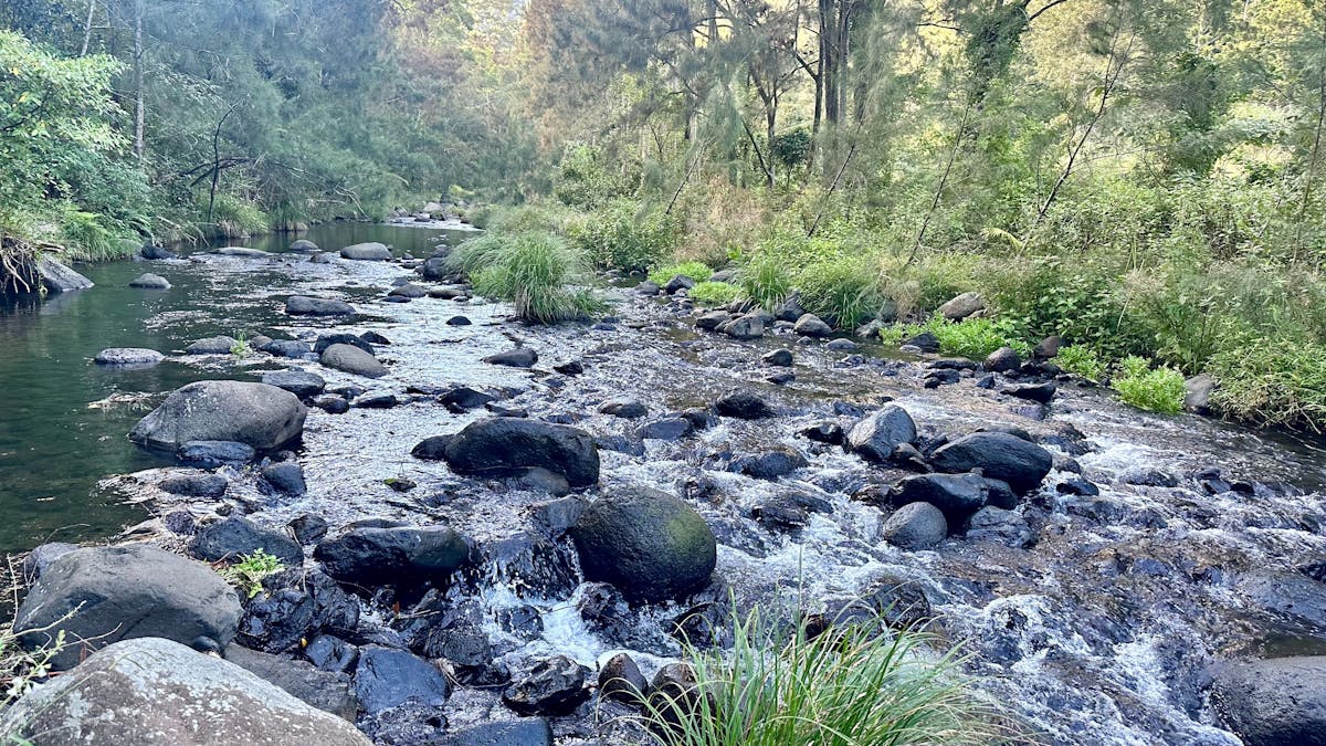 Christmas Creek is a permanently flowing creek