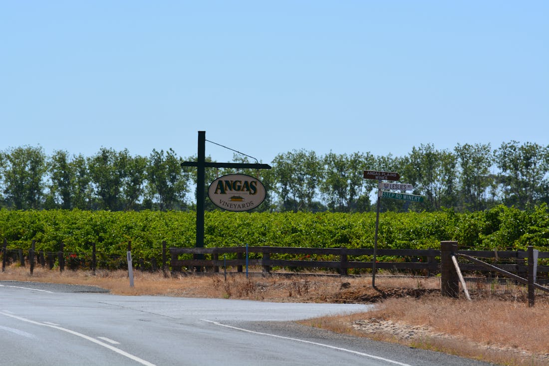 Langhorne Creek Wine Tour, Tour Service South Australia