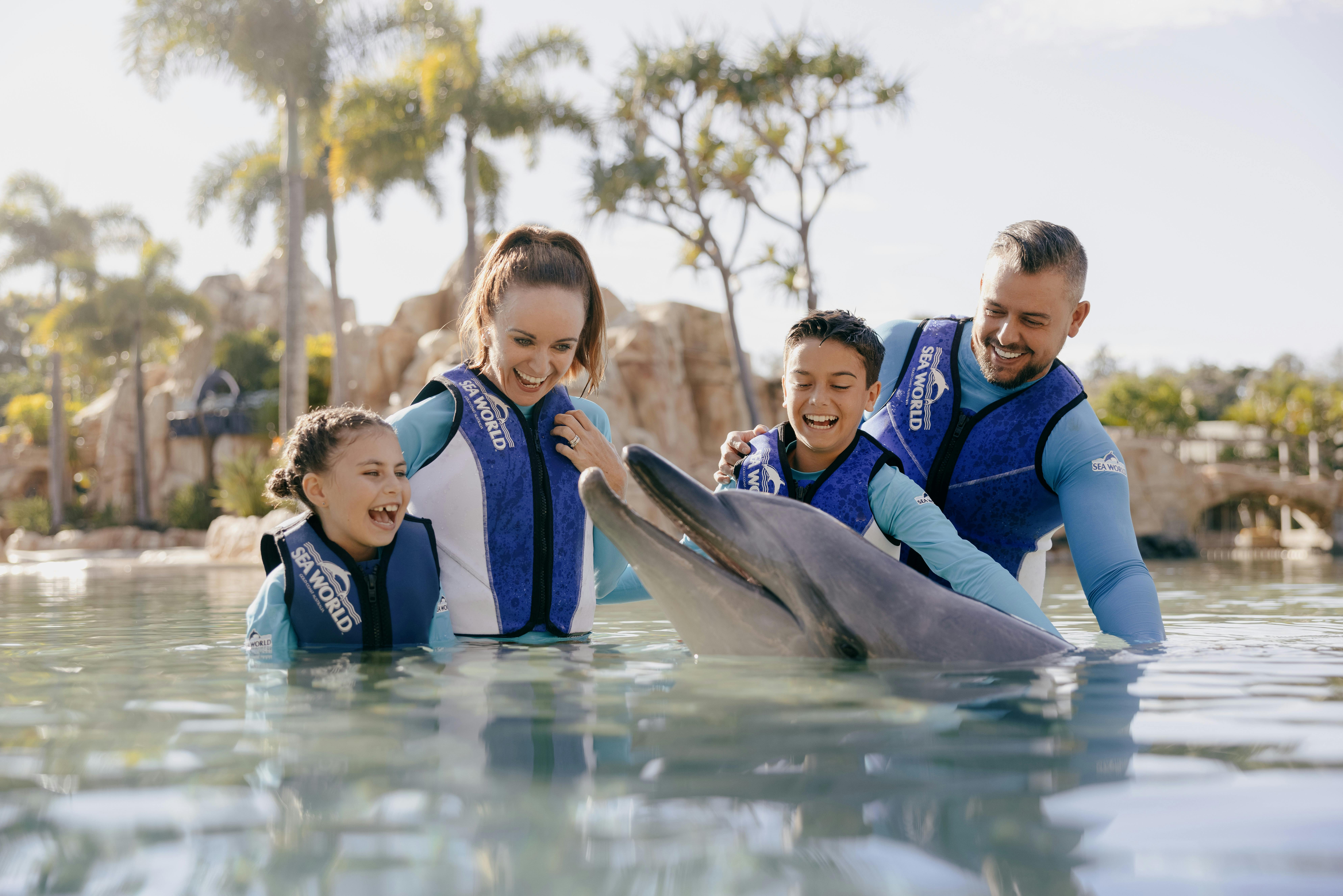 Meet the dolphins at Sea World