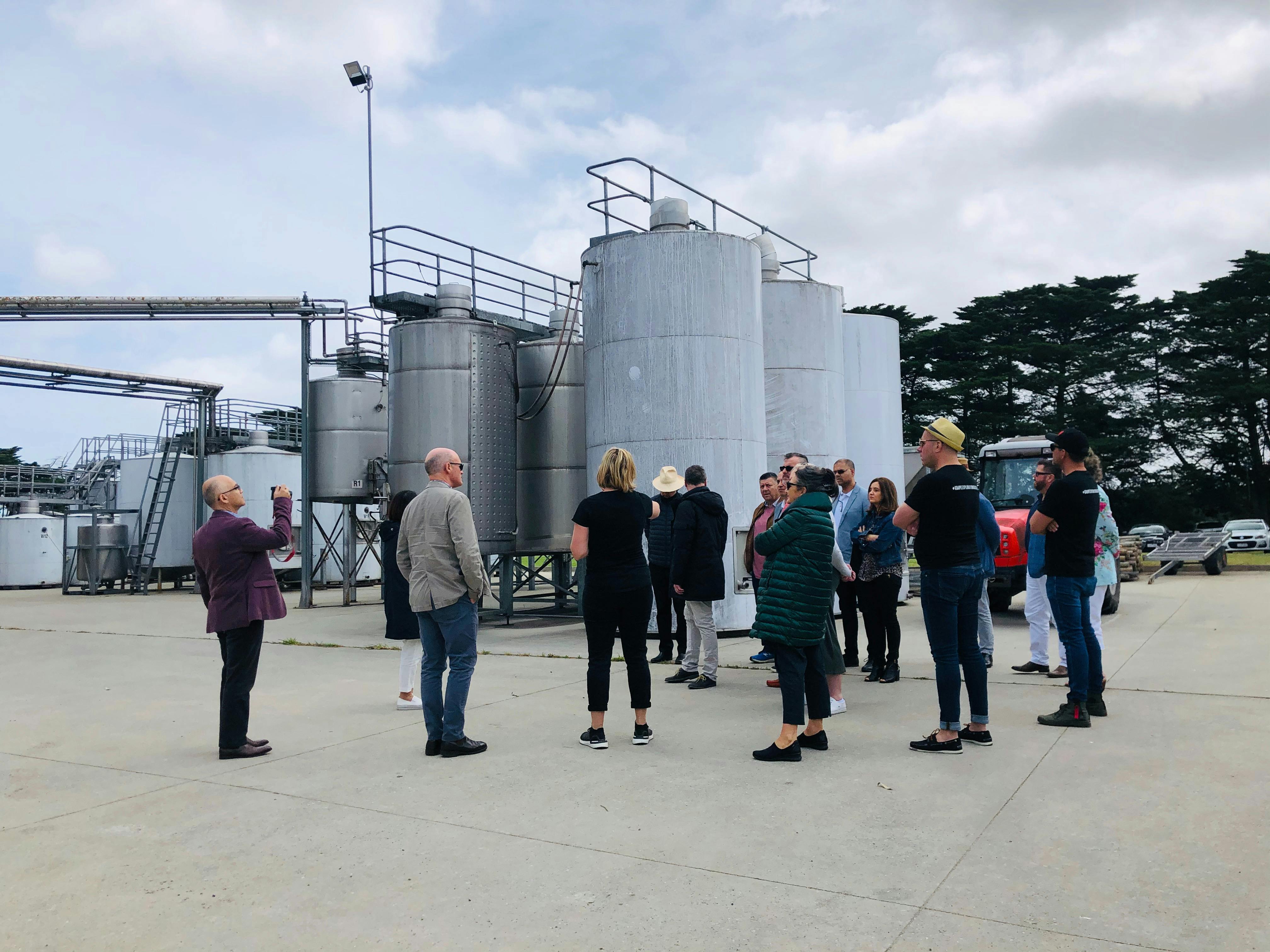 Guided Tour of the Winery on Pick of the bunch tour