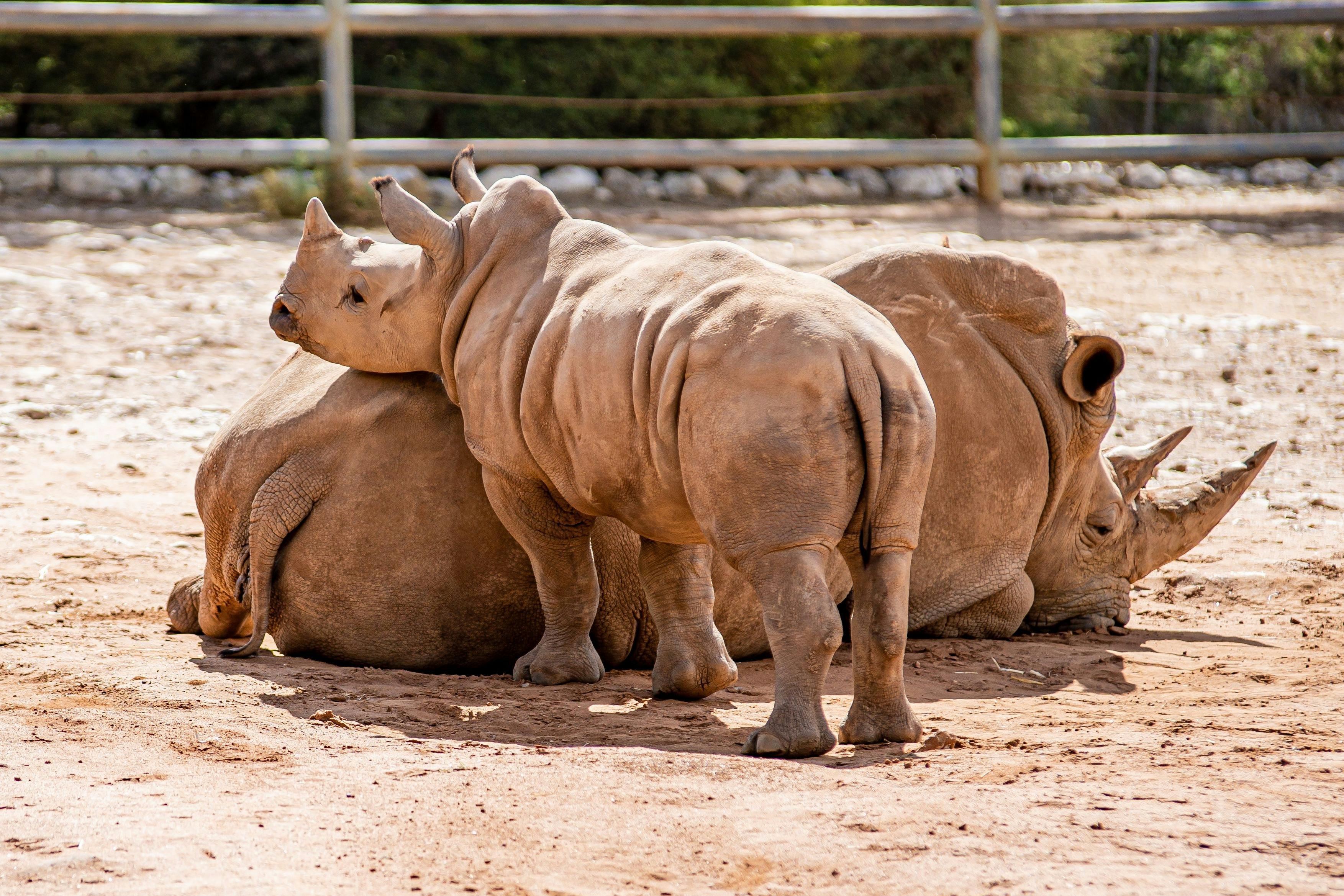 Monarto Zoo