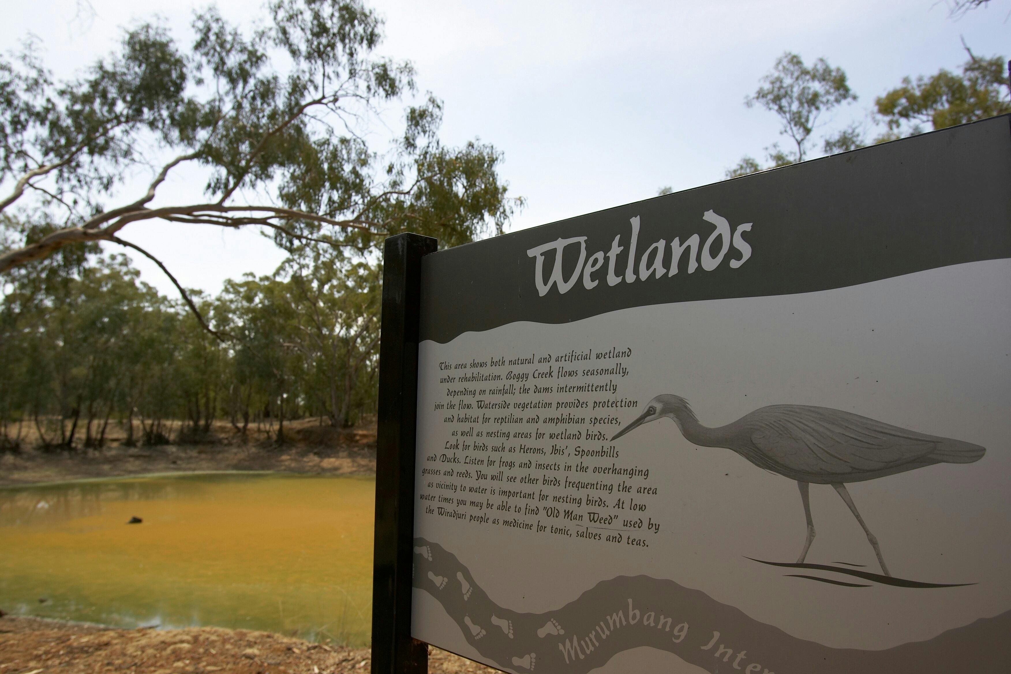 Interpretive signage at Murumbang to help with bird identification