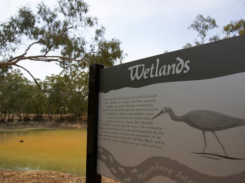 Ganmain 的 Murumbang 解說之旅