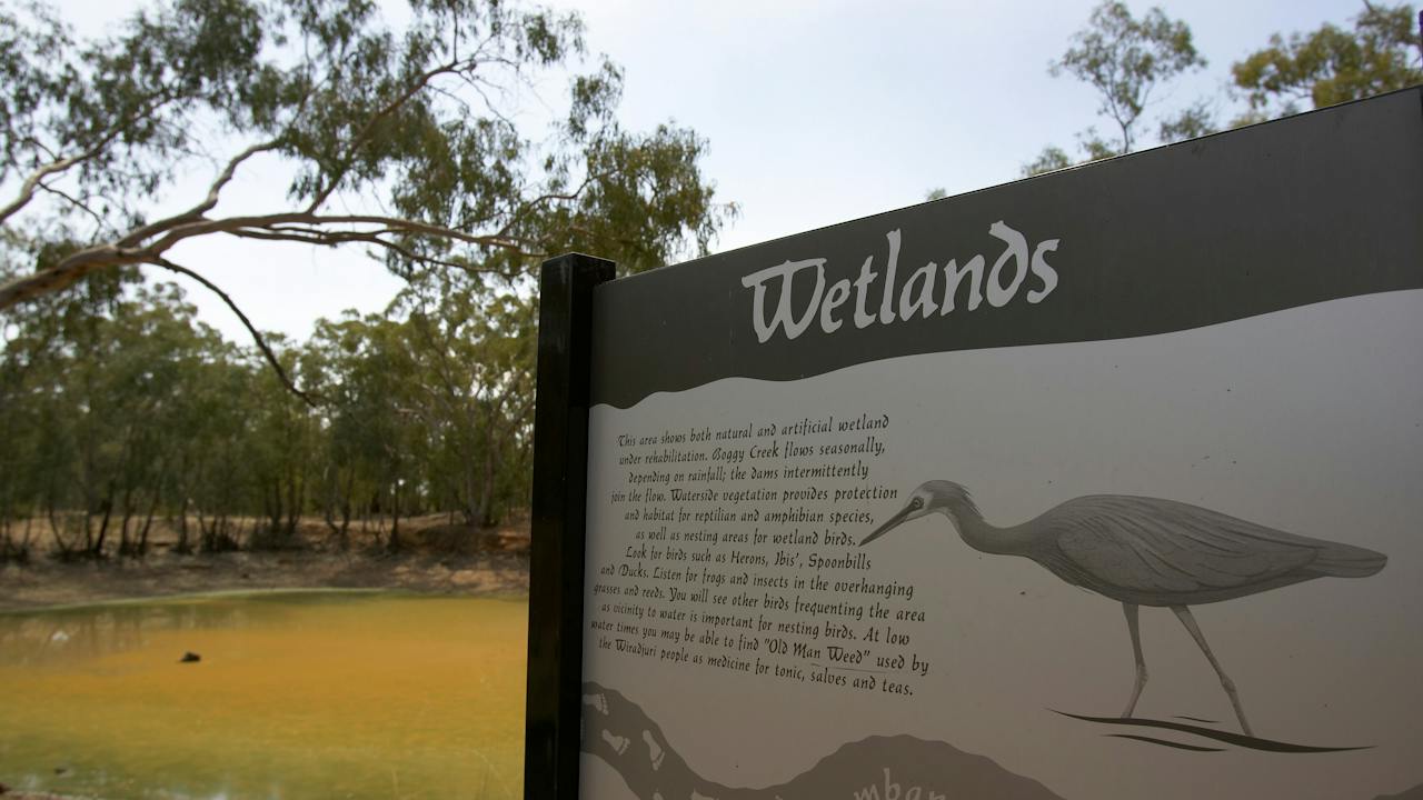 Interpretive signage at Murumbang to help with bird identification