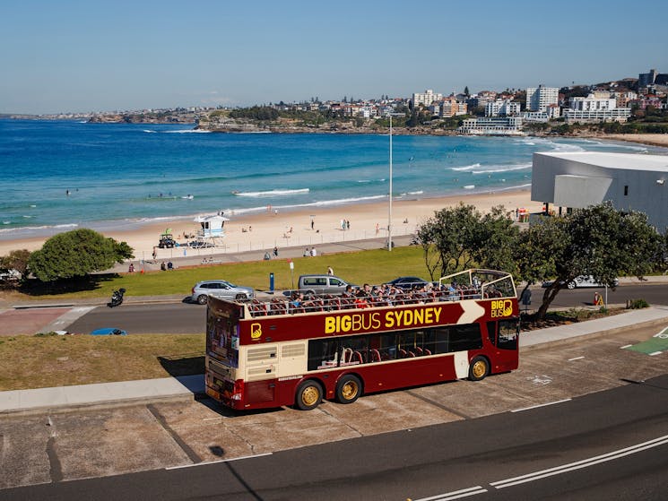 Big Bus Sydney at Bondi Beach