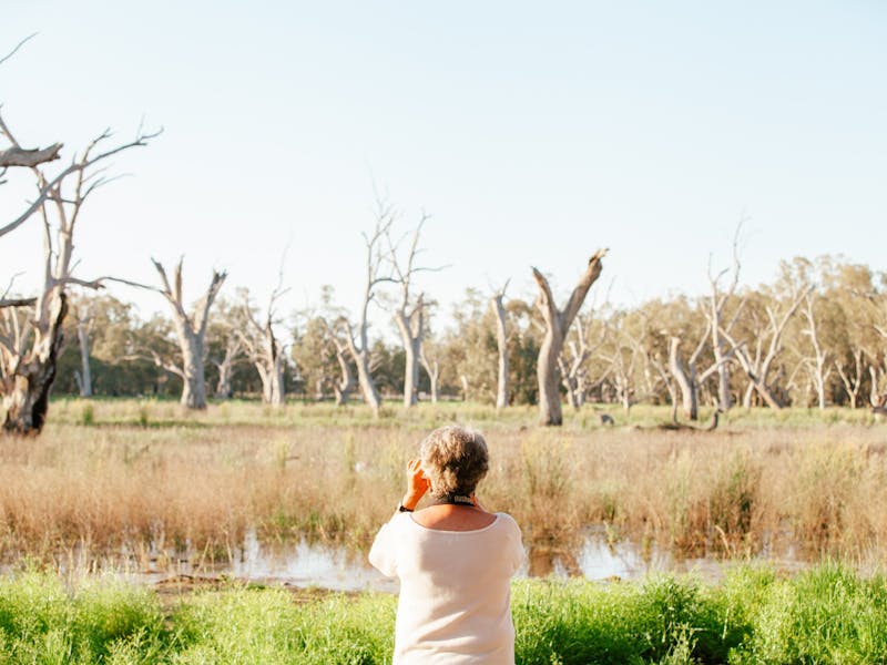 Gum Swamp with Trudy