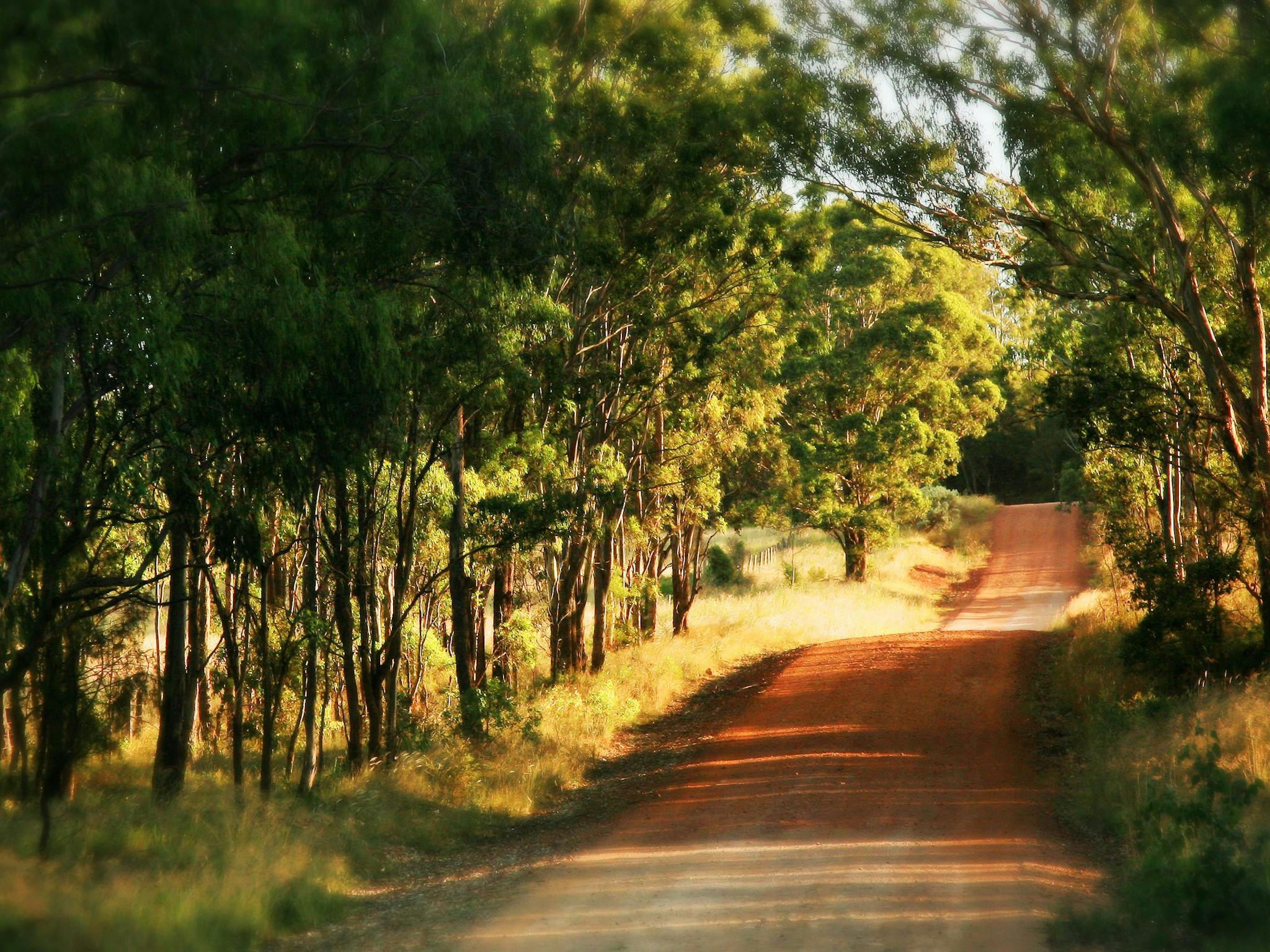 Road, Hampton