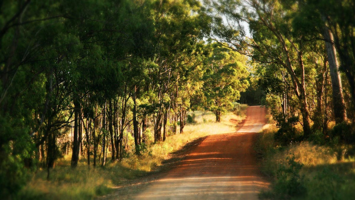 Road, Hampton