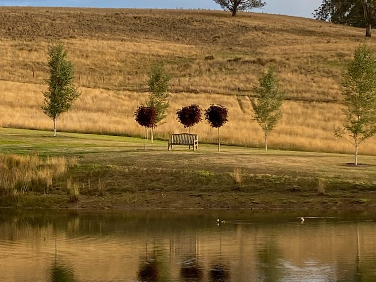 RedGround dam