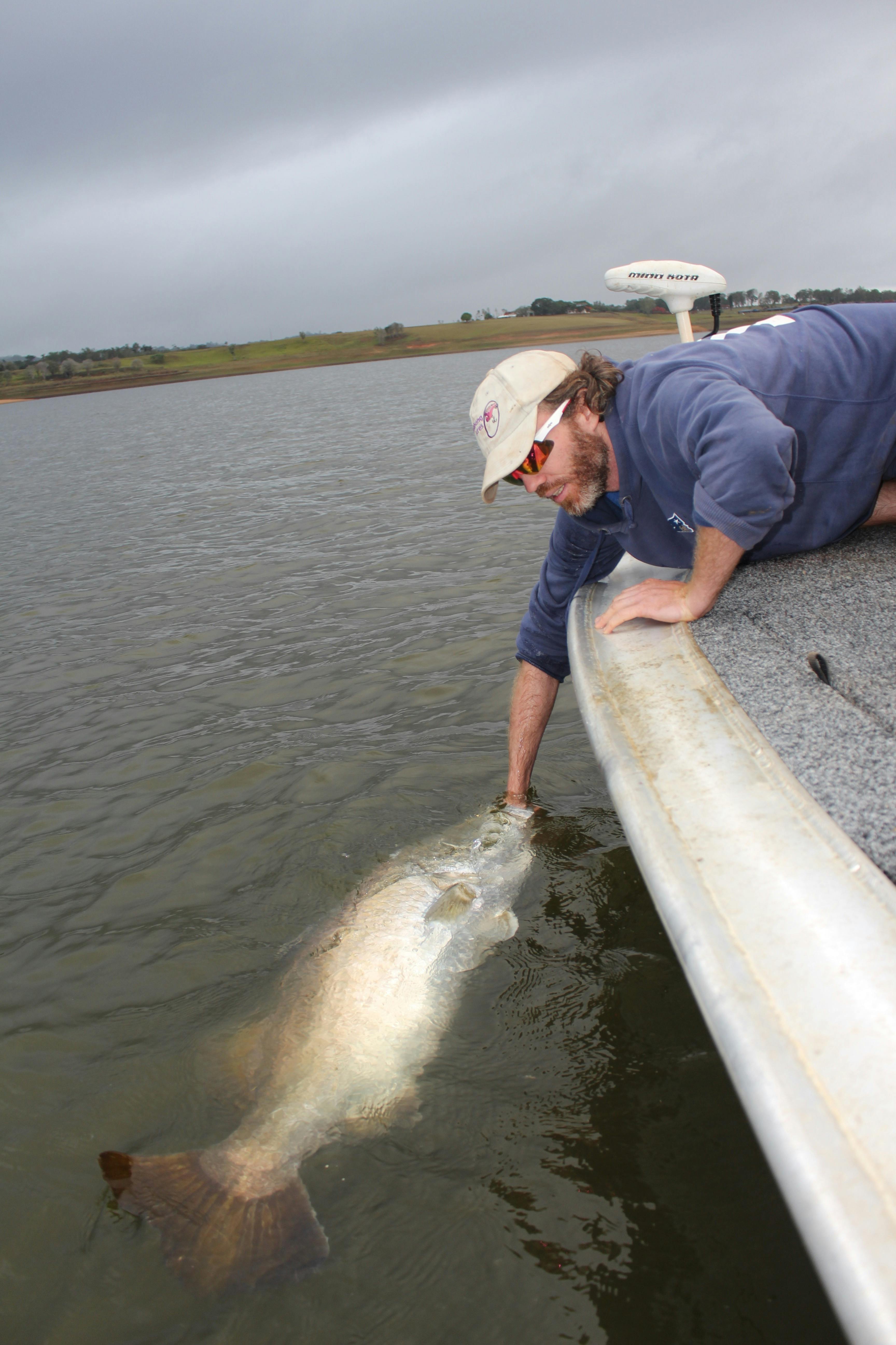 catch and release