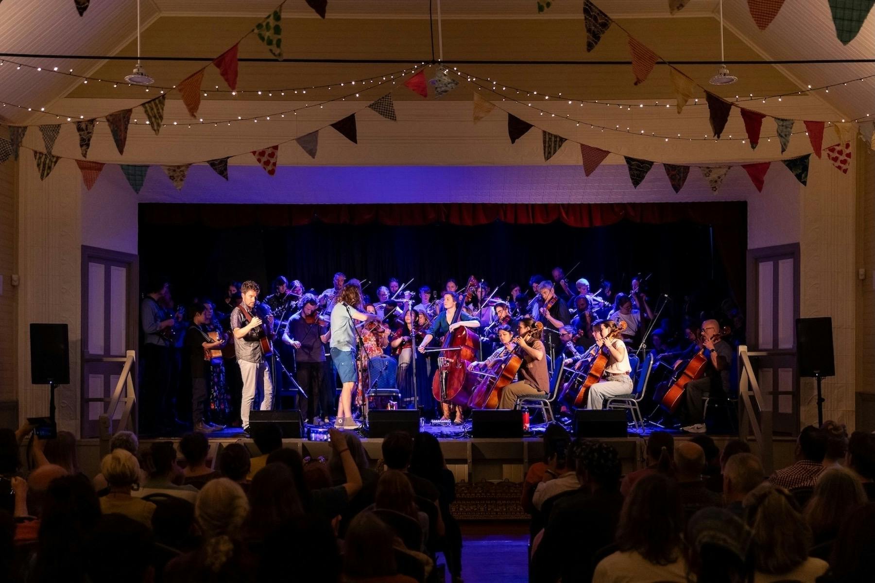 Stringmania Orchestra