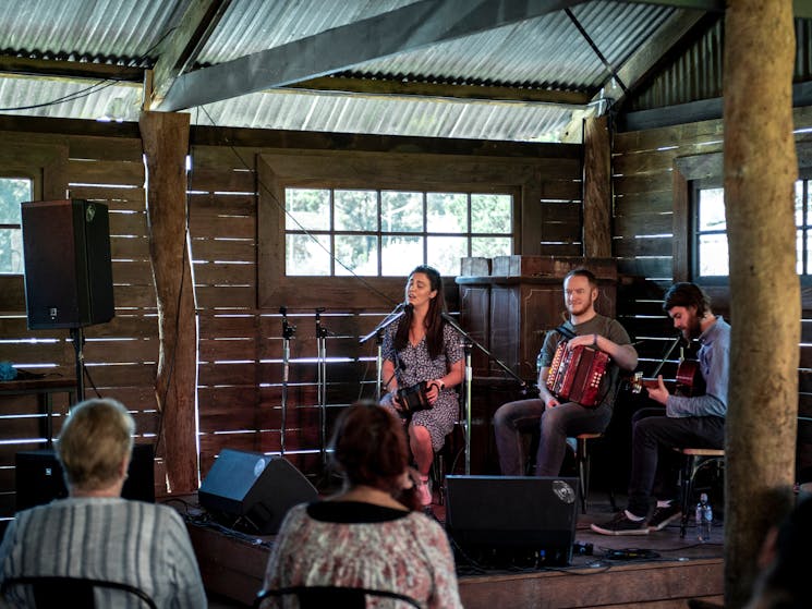 Irish & Celtic Music Festival