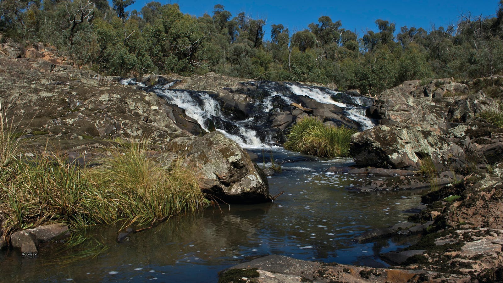 Snowy River National Park