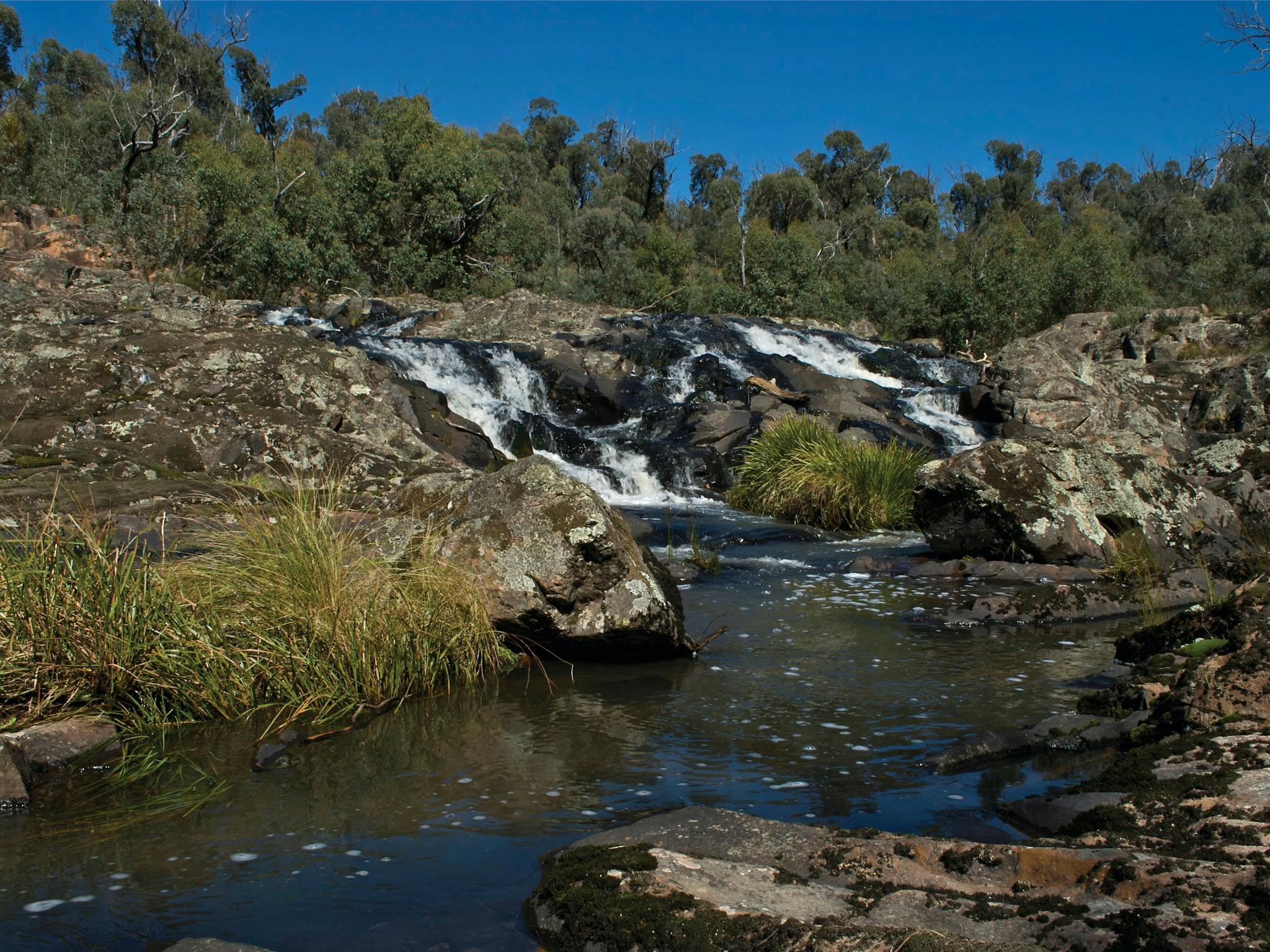 Snowy River National Park