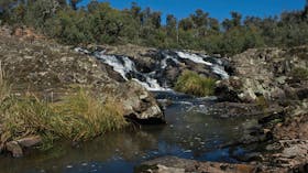 Snowy River National Park