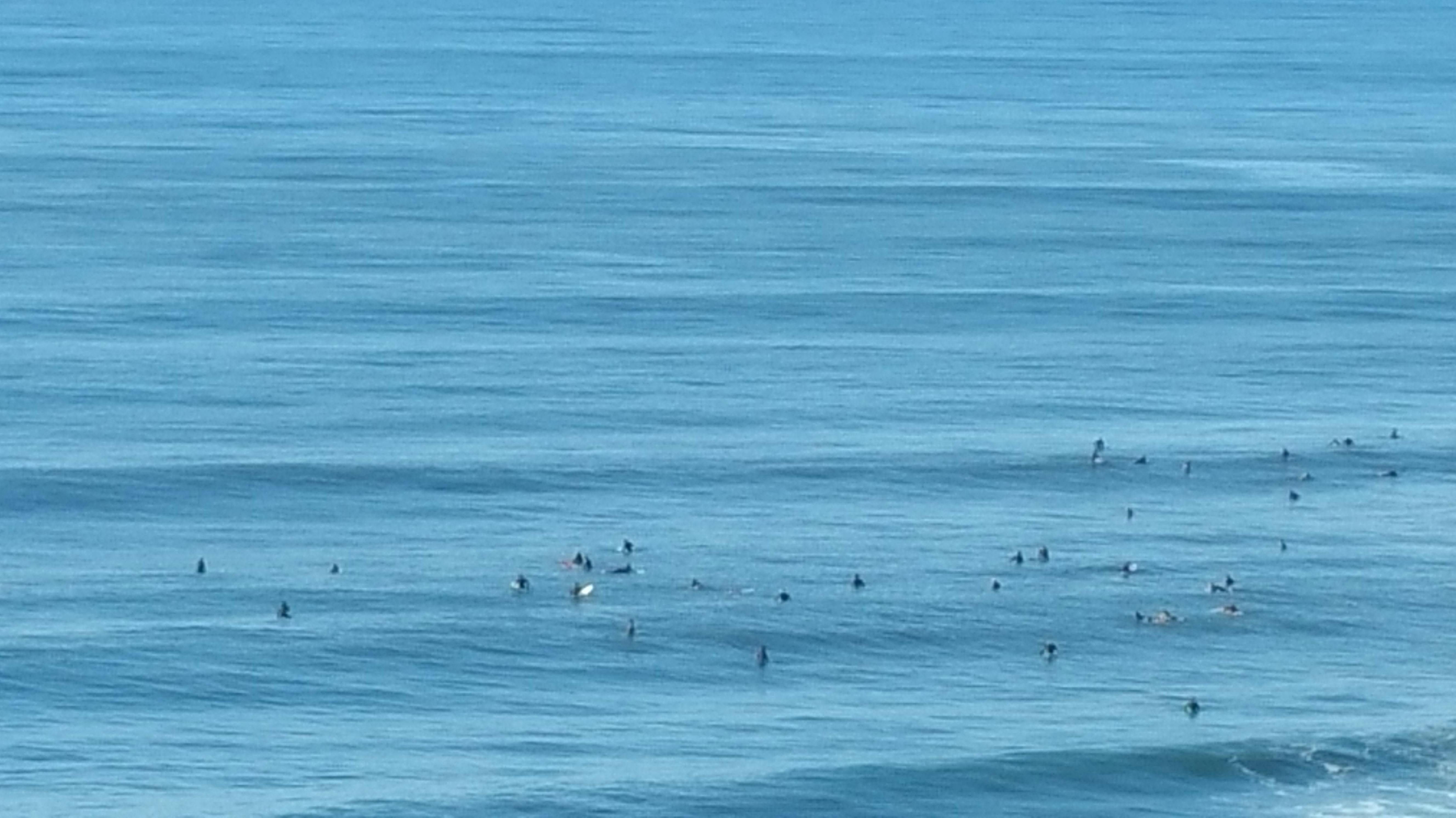 Waiting for the wave