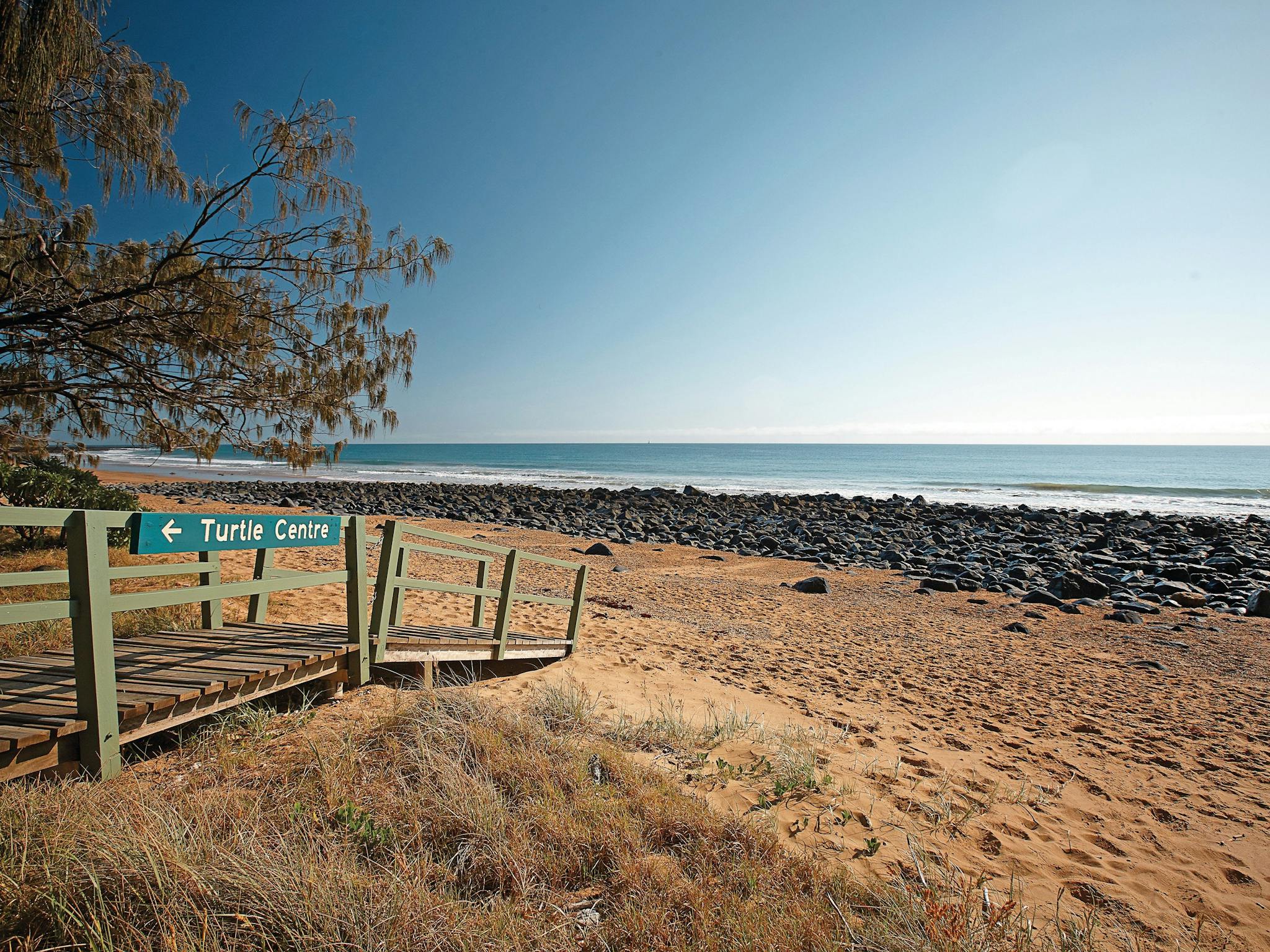 View of Mon Repos sandy beach, volcanic rock and blue ocean beyond with a wooden walkway to the left