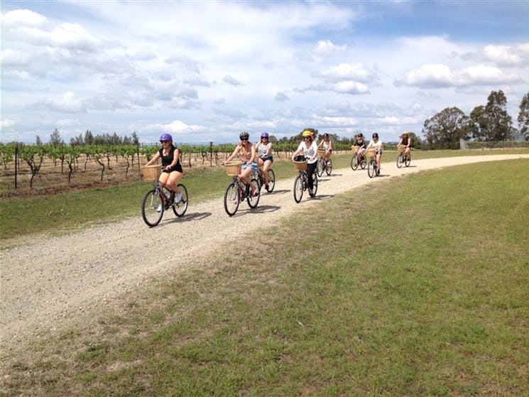 Grapemobile Bicycle Hire Hunter Valley Vineyards