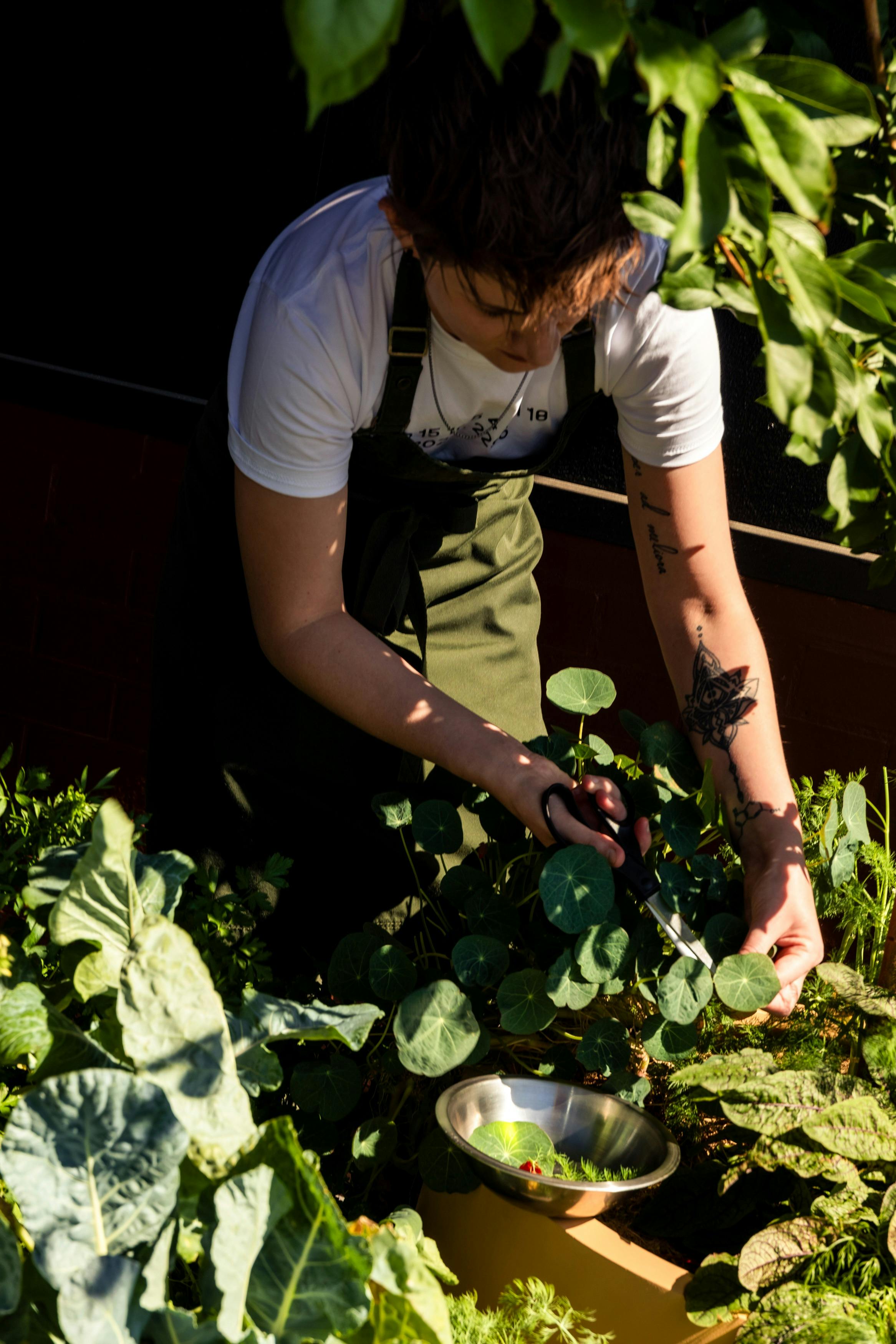 新鮮なハーブを店内で