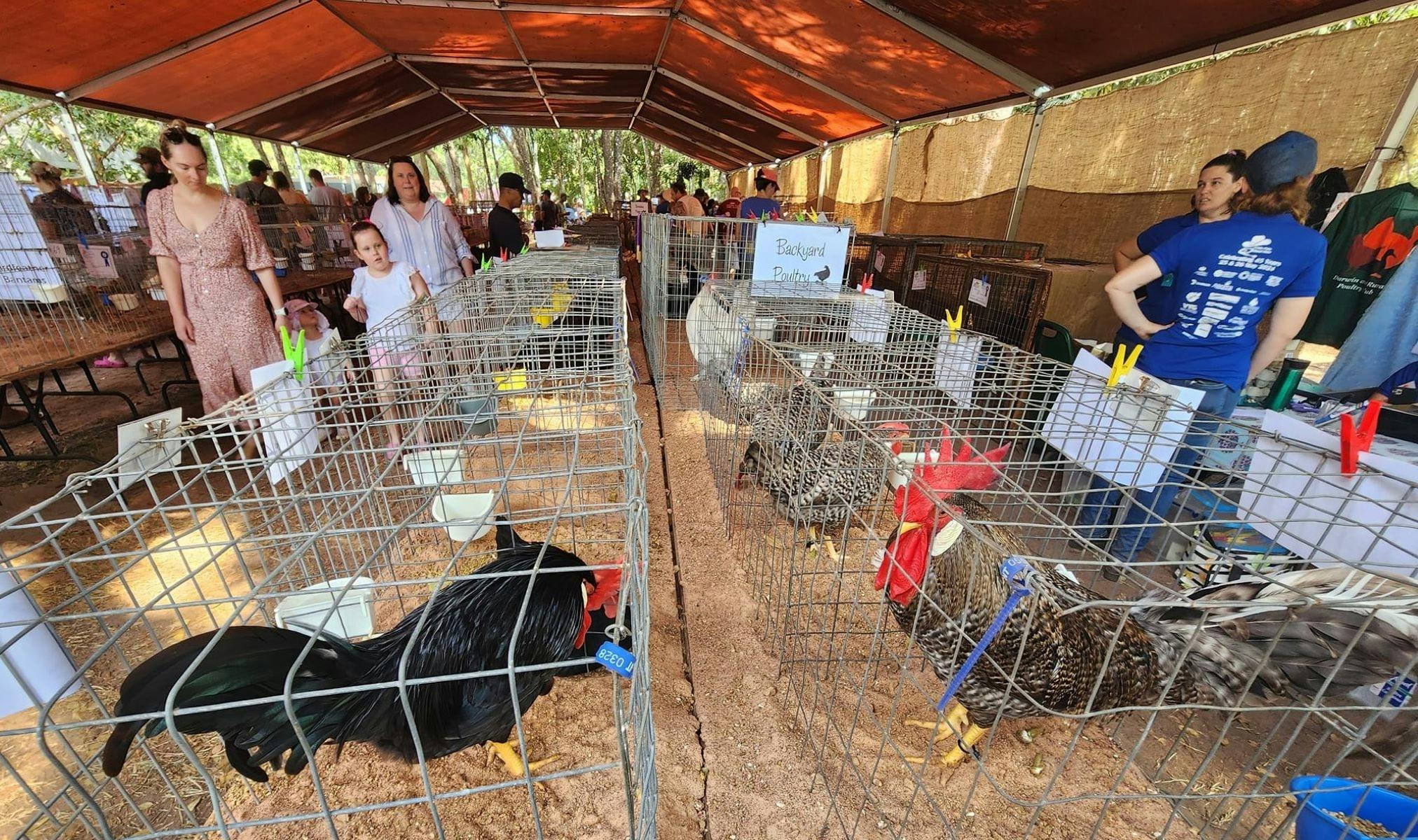 Poultry