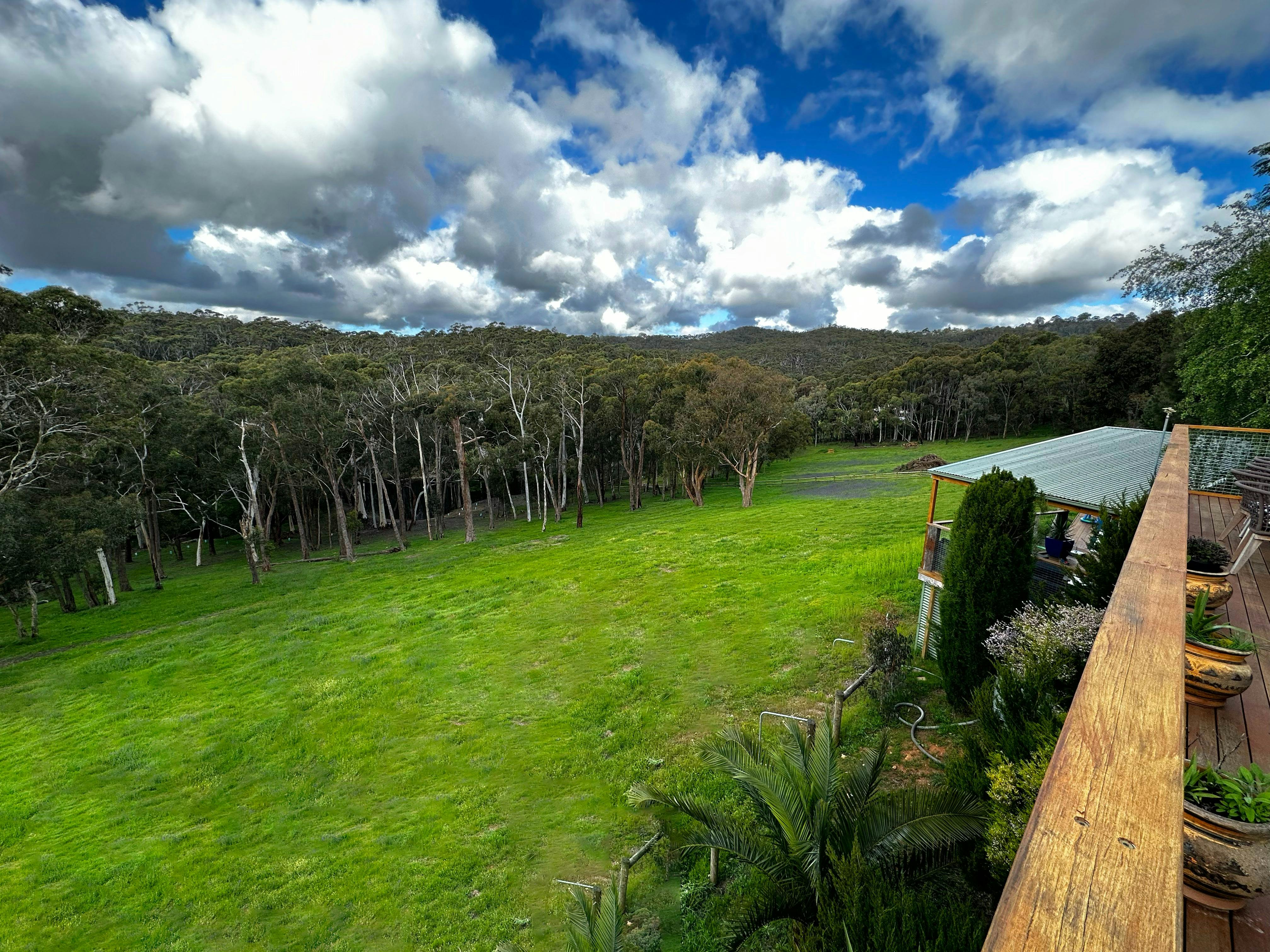 The view from the back deck in springtime.
