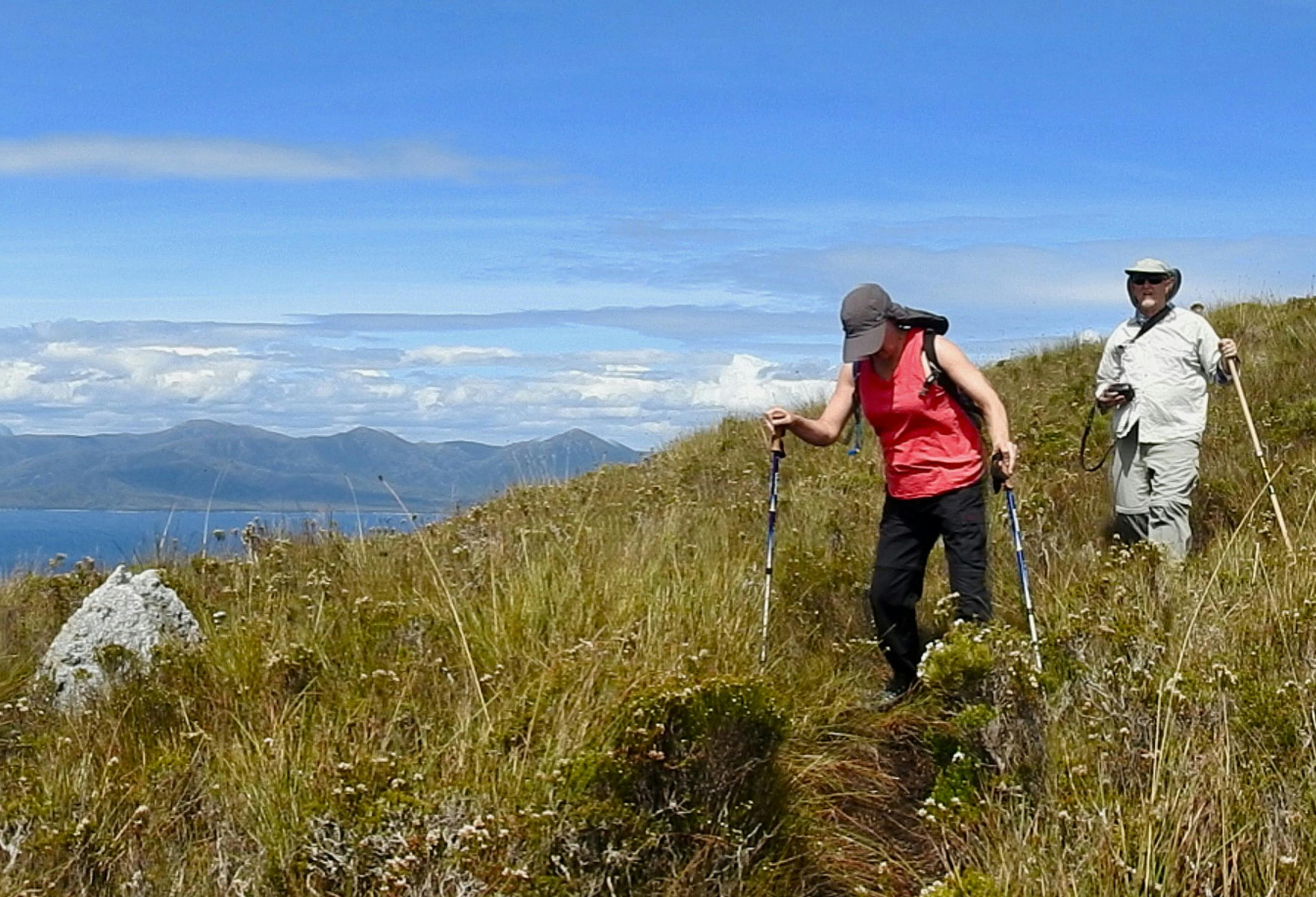 Coastal Treks Of Tasmania | Tour | Discover Tasmania