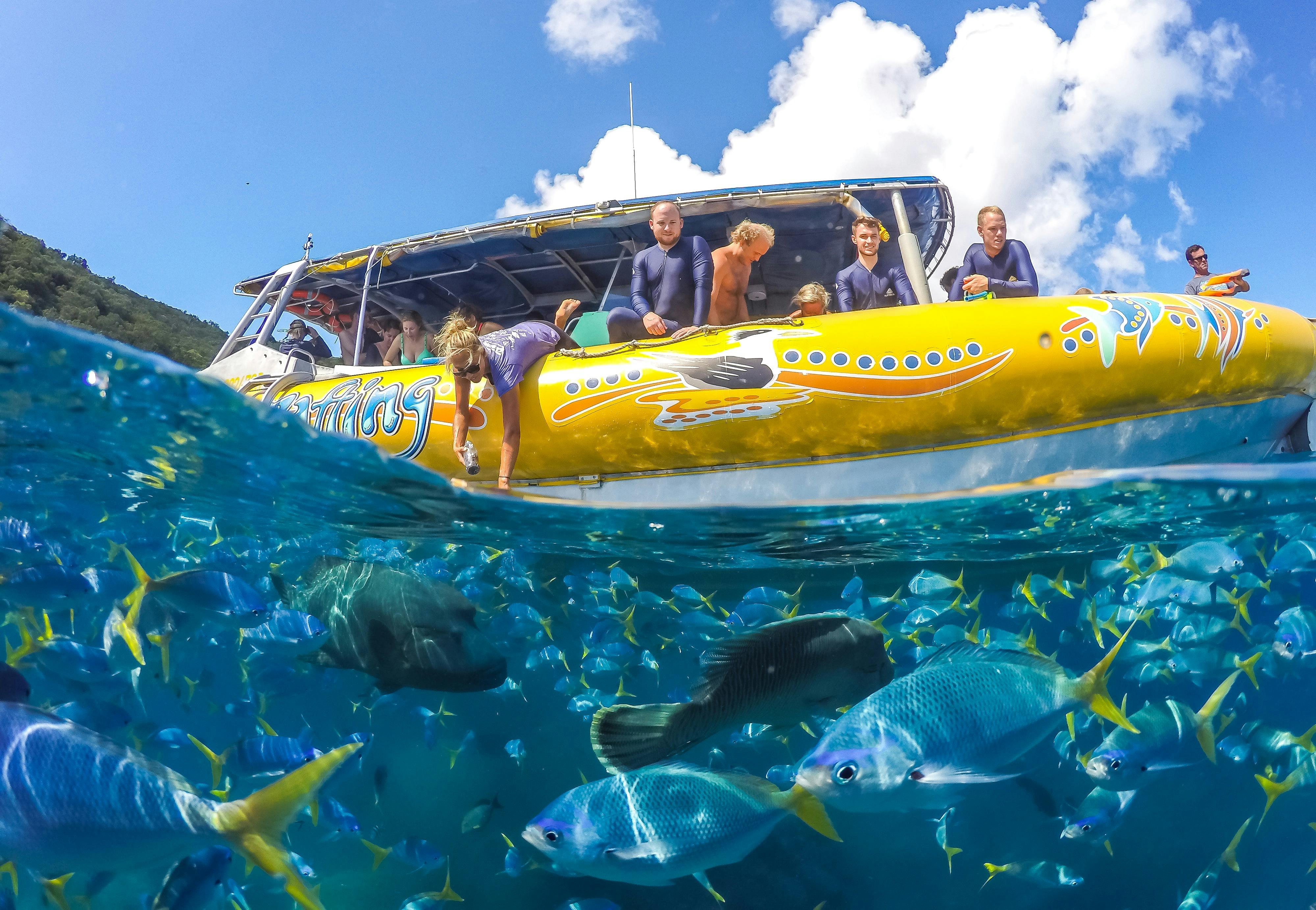 Northern Exposure Tour departing Airlie Beach