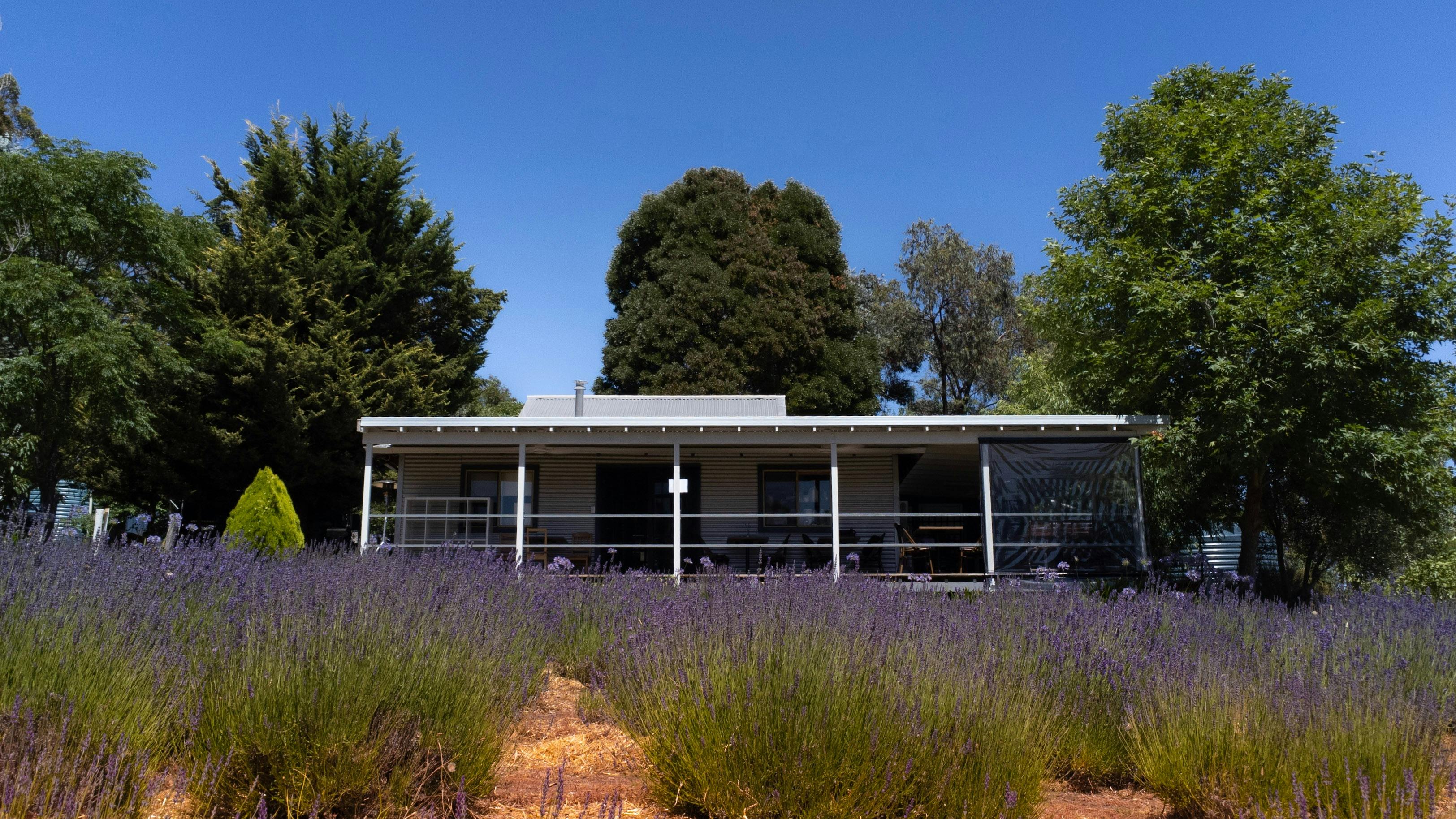 Nannup Lavender Farm Cafe and Campground