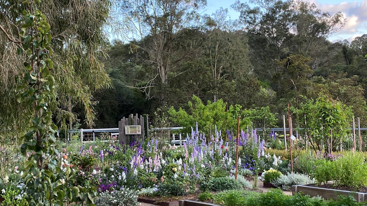 Market Gardens