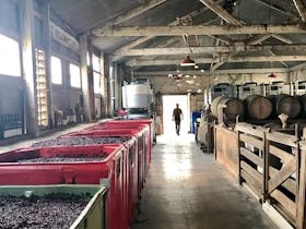 Ian Rennie with fermenters