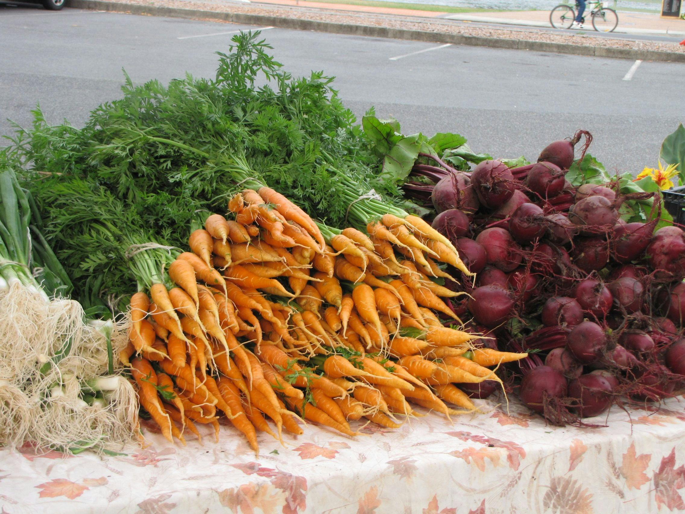 Rosedale Bush Market