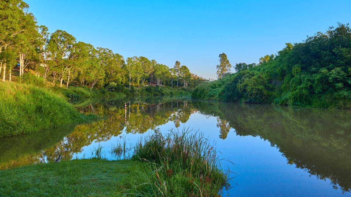 Cribb Park