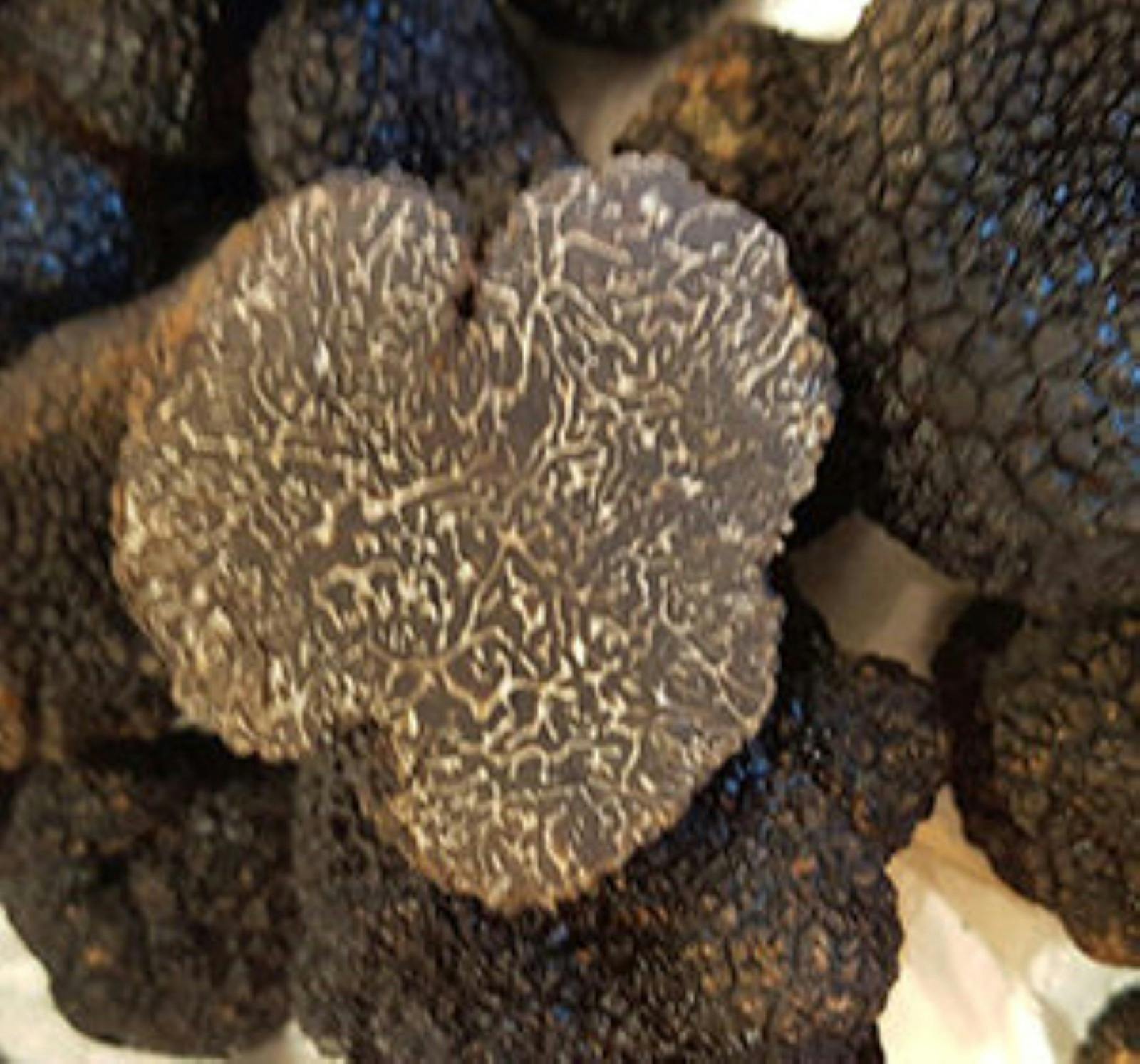 Cut Black Truffle