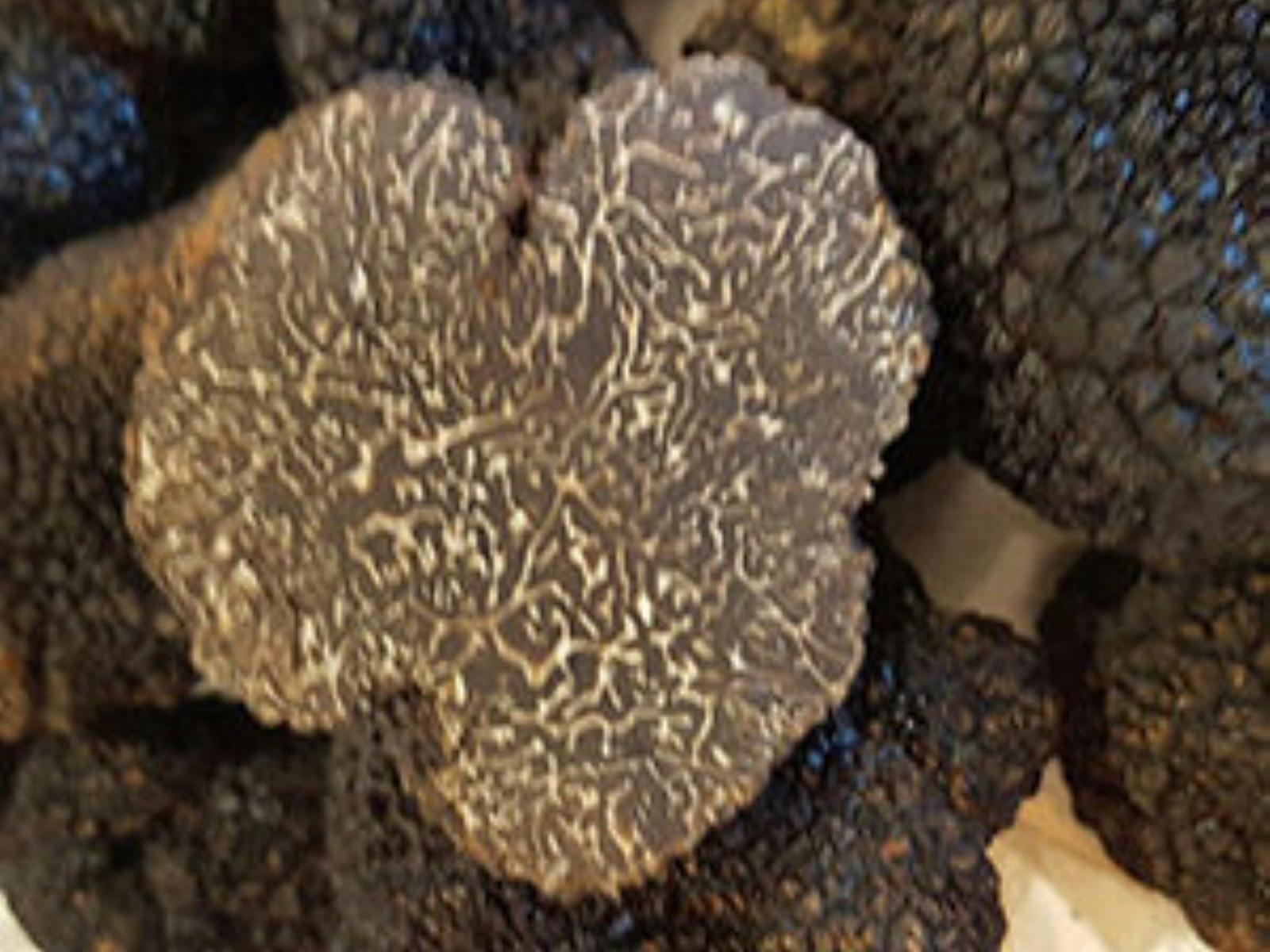 Cut Black Truffle