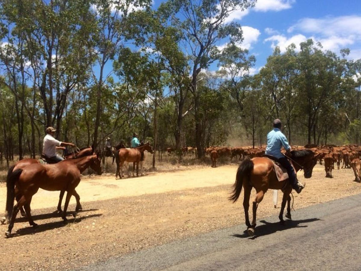 Duaringa
