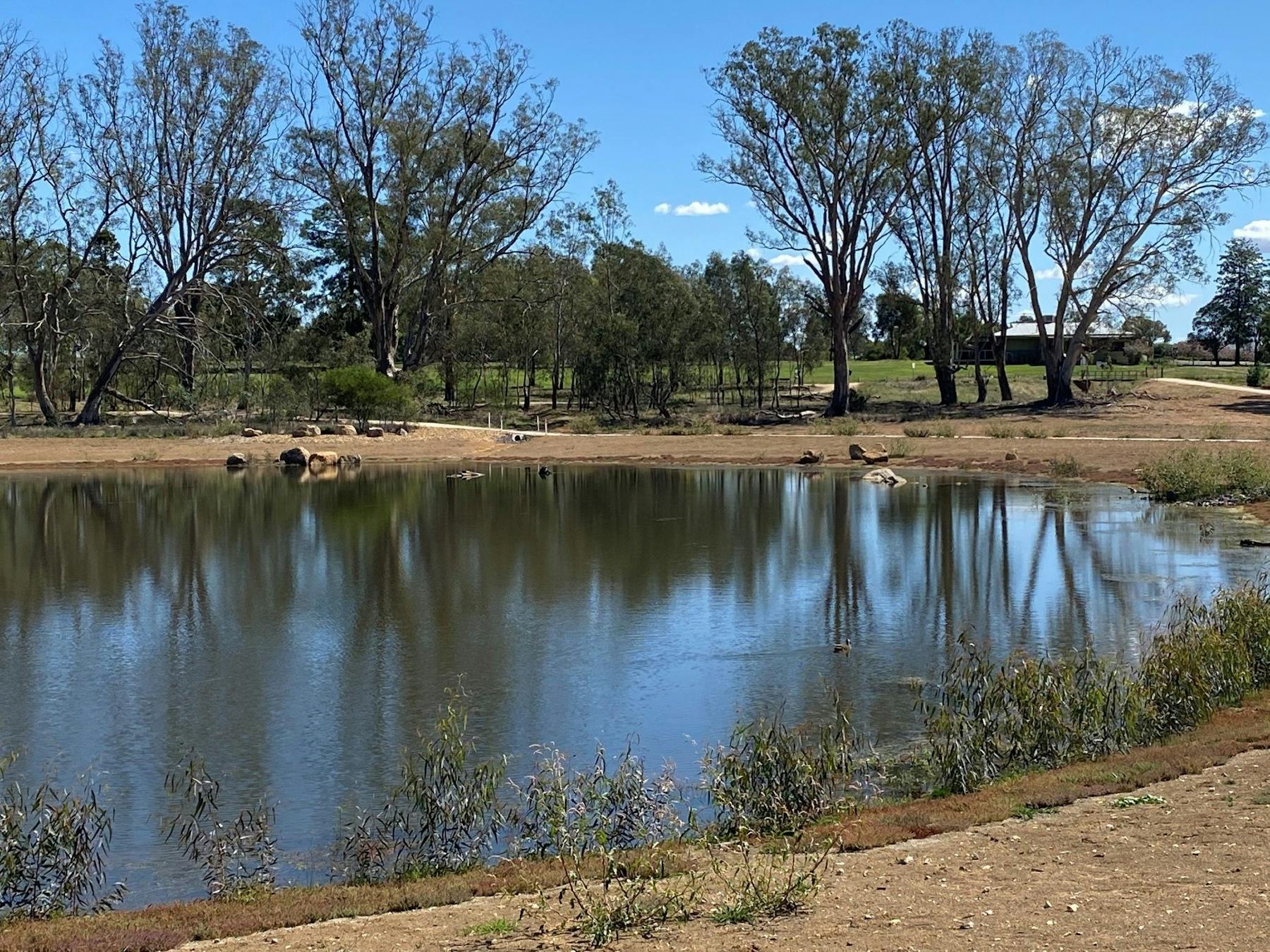 Rutherglen Gold Club overlooks Lake King Wetlands