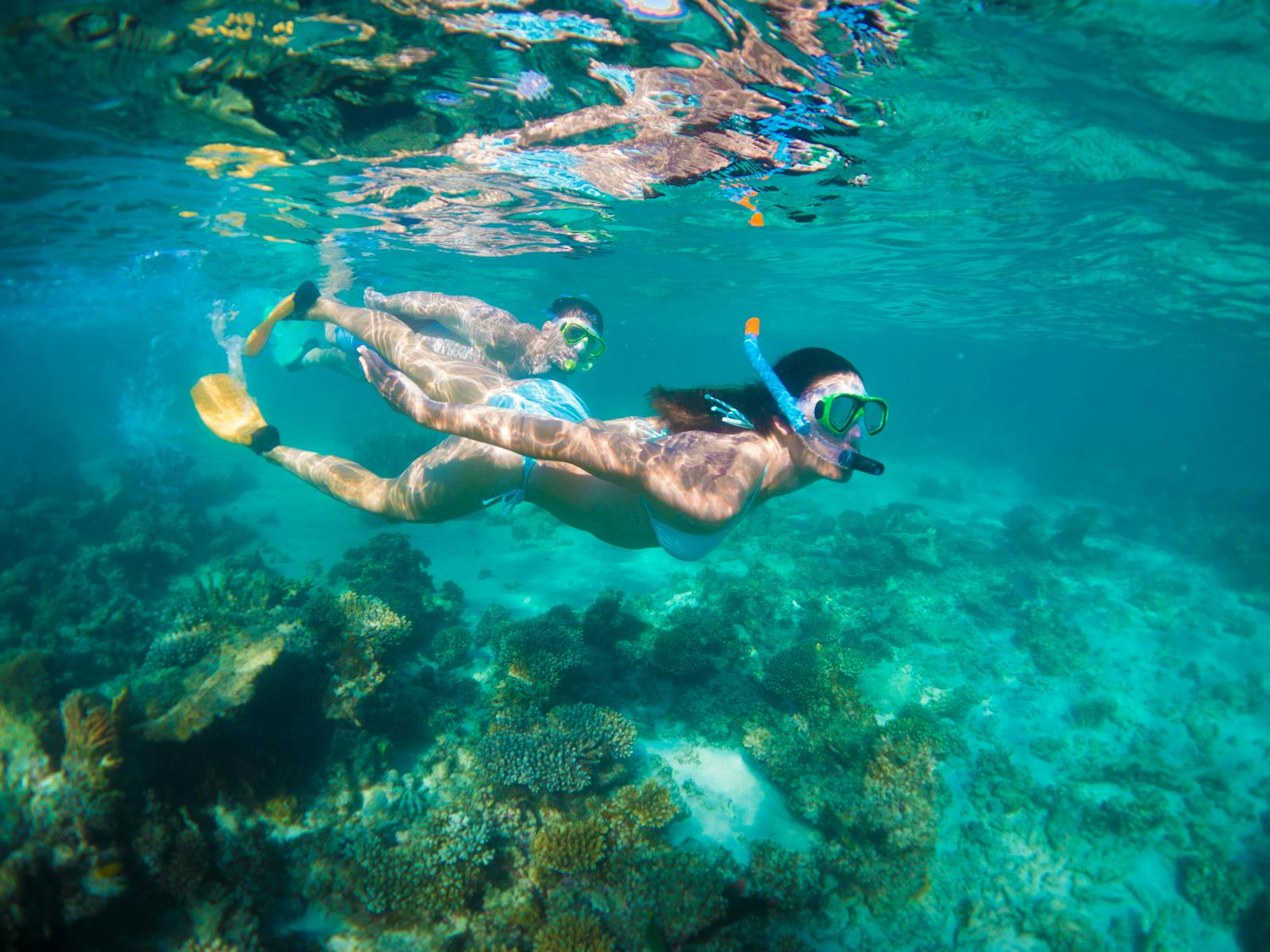 Snorkel the Ningaloo Reef