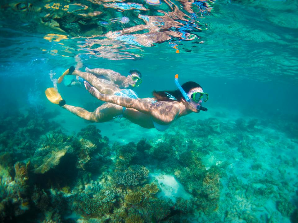 Snorkelling in the Ningaloo Reef Lagoon