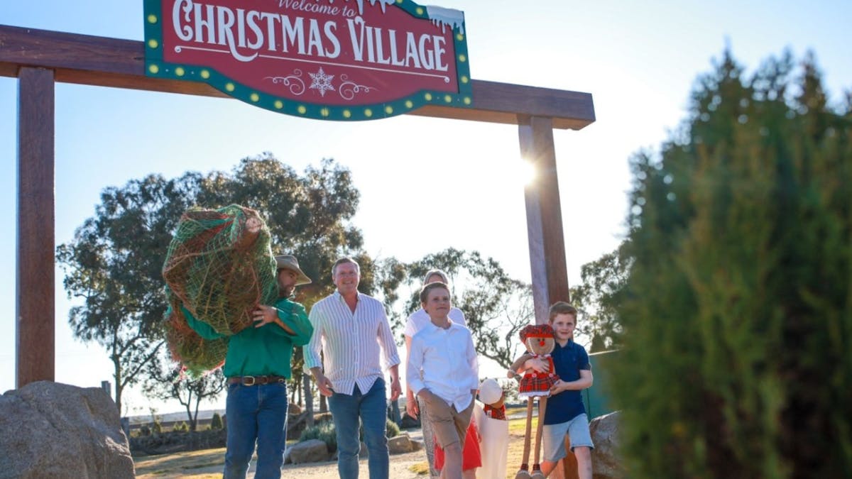 Farm Fresh Christmas Trees