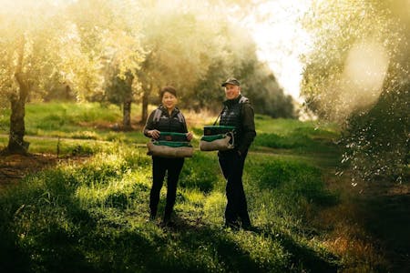 Wollundry Grove Olives