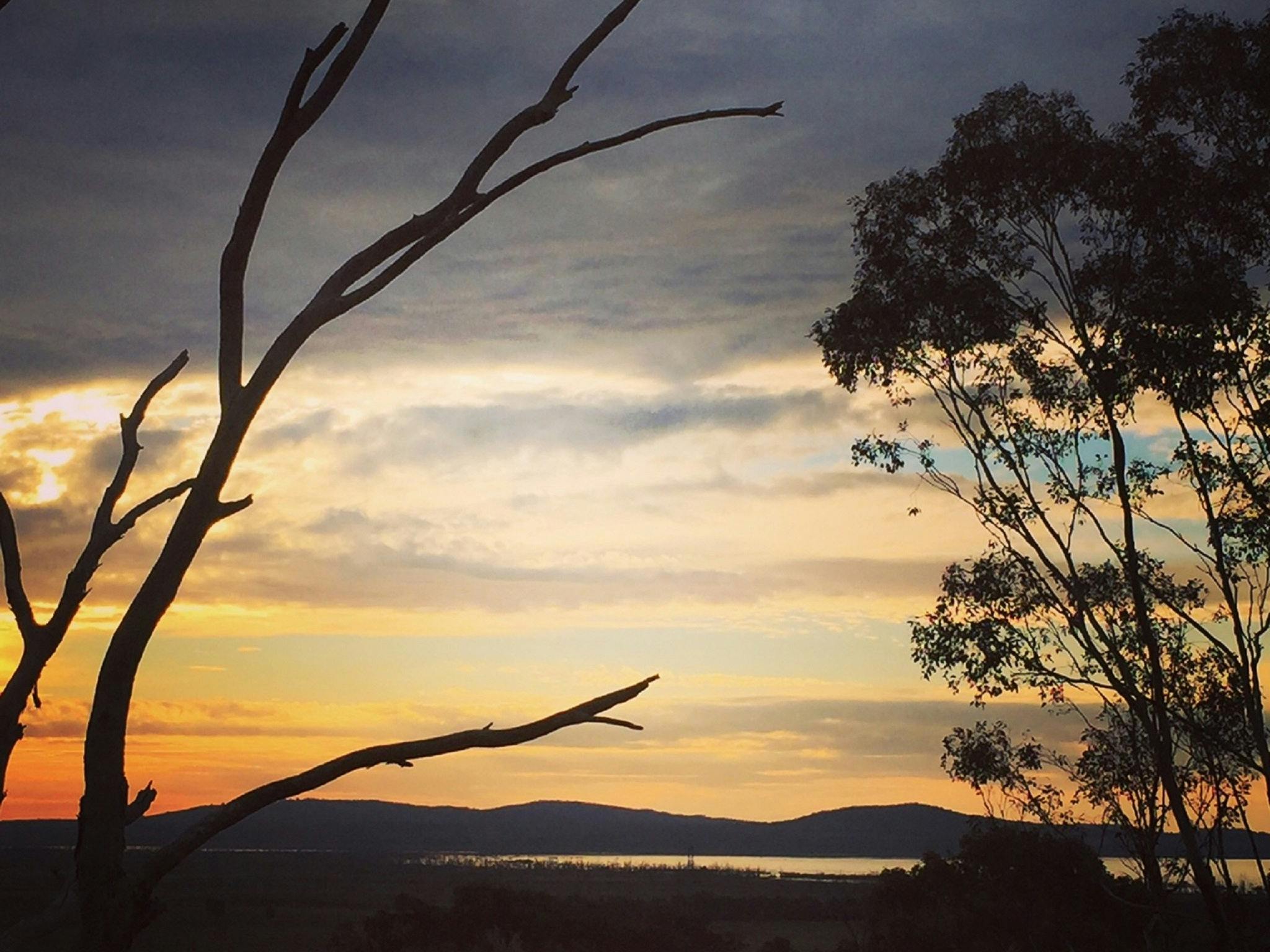 Days Lookout