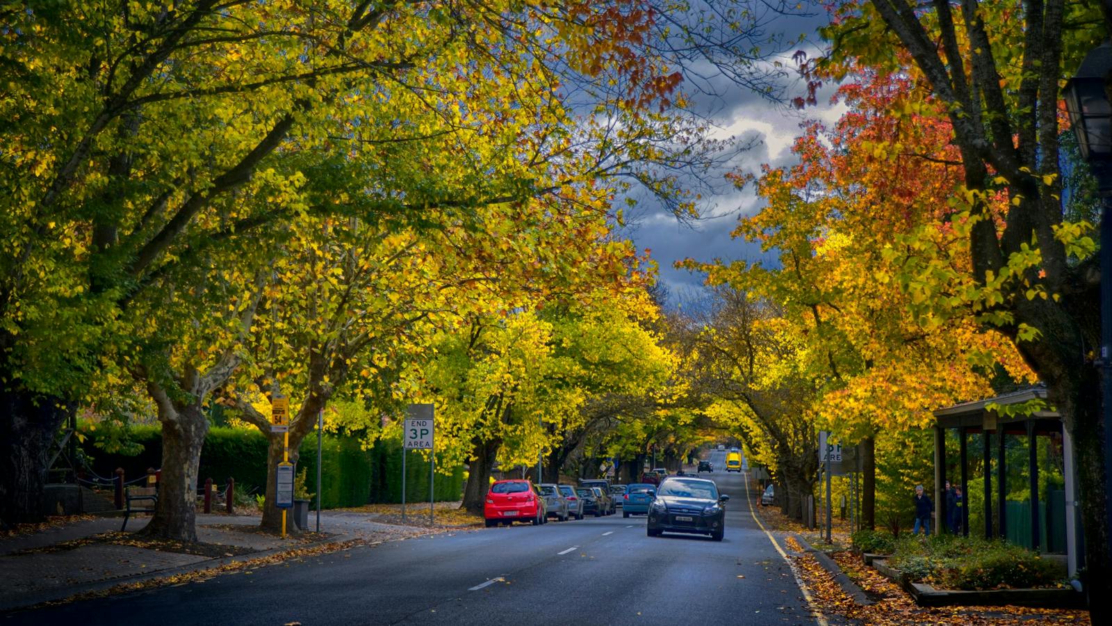 Adelaide Hills & Hahndorf Hideaways Tour
