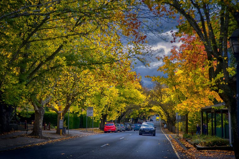 Adelaide Hills and Hahndorf Hideaways - Small Group Tour -